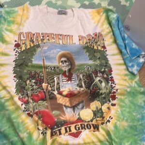 Grateful Dead Men’sTie-Dye Shirt - Multicolor